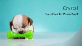  Presentation with rubber - 