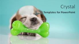  Presentation with rubber - 