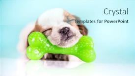  Presentation with bone - 