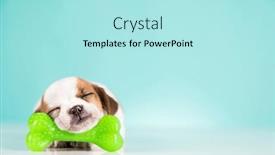  Presentation with bone - 