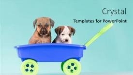  Presentation with dogs - Theme with little-dogs-in-a-toy background and a arctic colored foreground