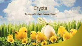  Presentation with chick - Beautiful presentation featuring little easter chicks backdrop and a  colored foreground