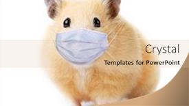  Presentation with mask - Theme featuring little-funny-hamster-in-medical background and a coral colored foreground