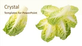  Presentation with free gem stones - Slide set having little gem lettuce on white background and a cream colored foreground