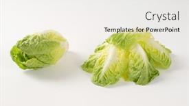  Presentation with lettuce - Cool new PPT layouts with little-gem-lettuce-on-white backdrop and a white colored foreground