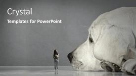  Presentation with dog - Slides featuring little-girl-and-giant-dog background and a gray colored foreground