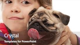  Presentation with cute christmas pug puppy dog - Slide deck enhanced with little girl and the pug-dog isolated on a white background background and a tawny brown colored foreground