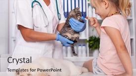  Presentation with adoption - Colorful PPT layouts enhanced with little girl at the animal backdrop and a soft green colored foreground