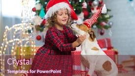  Presentation with child tree - Audience pleasing PPT theme consisting of little girl child celebrates christmas with dog jack russell terrier in stripes socks at home under the christmas tree backdrop and a tawny brown colored foreground