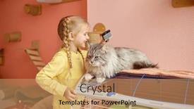  Presentation with animal shelter - PPT theme featuring little-girl-child-combing-thick background and a  colored foreground