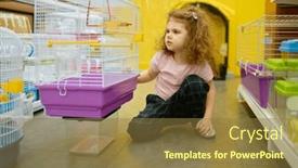  Presentation with rodent - PPT theme featuring little-girl-child-sitting-nearby background and a tawny brown colored foreground