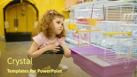  Presentation with rodent - Theme enhanced with little-girl-child-sitting-nearby background and a tawny brown colored foreground