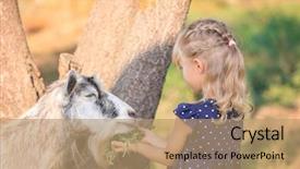  Presentation with goat farm - Amazing PPT layouts having little girl feeding goat backdrop and a coral colored foreground