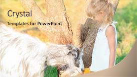  Presentation with goat farm - Amazing presentation design having little girl feeding goat backdrop and a  colored foreground