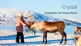  Presentation with norway - Presentation design having little-girl-feeding-reindeer background and a sky blue colored foreground