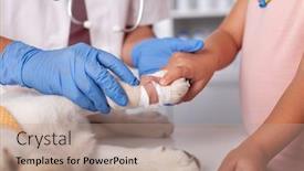  Presentation with helping hands - Slide deck consisting of little-girl-hands-help-veterinary background and a coral colored foreground