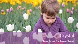  Presentation with tulip - Beautiful slides featuring little girl looks on white tulip backdrop and a coral colored foreground
