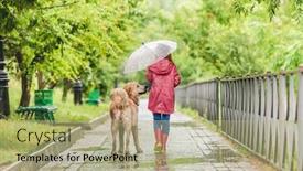  Presentation with rain - Slide set enhanced with little-girl-walking-dog-under background and a mint green colored foreground
