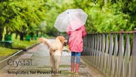  Presentation with rain - Amazing PPT layouts having little-girl-walking-dog-under backdrop and a coral colored foreground