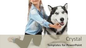  Presentation with husky - Cool new PPT theme with little girl with cute husky dog on white background backdrop and a mint green colored foreground
