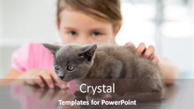  Presentation with veterinary - Presentation theme with little girl with cute kitten at veterinary office background and a tawny brown colored foreground