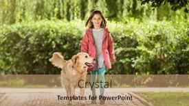  Presentation with dog cat stethescope - Presentation design consisting of little-girl-with-dog-going background and a coral colored foreground