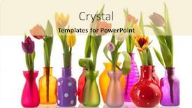  Presentation with tulips - Presentation theme consisting of little-glass-vases-with-colorful background and a blonde colored foreground