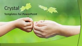  Presentation with ecology kids - Slide set having little green plant in hand background and a seafoam green colored foreground