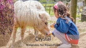  Presentation with horse child - Slide set featuring little kid feeding pony horse background and a coral colored foreground