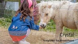  Presentation with horse child - Colorful slide deck enhanced with little kid feeding pony horse backdrop and a coral colored foreground