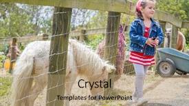  Presentation with horse child - PPT theme consisting of little kid feeding pony horse background and a coral colored foreground
