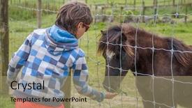  Presentation with horse child - Cool new slide deck with little kid feeding pony horse backdrop and a coral colored foreground