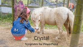  Presentation with horse child - Colorful presentation design enhanced with little kid feeding pony horse backdrop and a coral colored foreground
