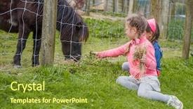  Presentation with horse child - Audience pleasing PPT layouts consisting of little kid feeding pony horse backdrop and a tawny brown colored foreground