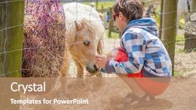  Presentation with horse child - PPT layouts having little kid feeding pony horse background and a coral colored foreground