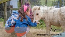  Presentation with horse child - PPT theme enhanced with little kids feeding pony horse background and a coral colored foreground