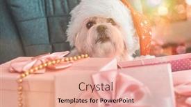  Presentation with dog christmas - Amazing PPT layouts having little-maltese-dog-dressed backdrop and a lemonade colored foreground