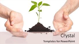  Presentation with hands holding - Presentation theme enhanced with little men theme - man holding a plant background and a  colored foreground