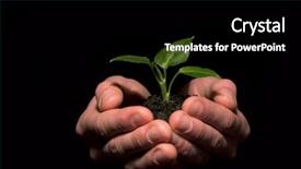  Presentation with black childrens babys hands - Colorful presentation theme enhanced with little men theme - plant between hands on black backdrop and a black colored foreground