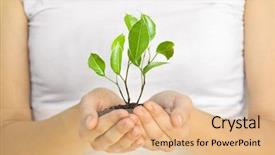  Presentation with holding hands - Presentation consisting of little men theme - woman holding a plant background and a coral colored foreground