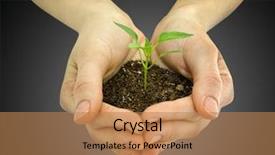  Presentation with hand holding plant - PPT layouts enhanced with little men theme - wooman holding a plant background and a coral colored foreground