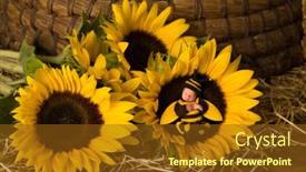  Presentation with sleeping baby - Slide deck featuring little-newborn-baby-in-bee background and a tawny brown colored foreground