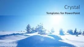  Presentation with pine trees - 