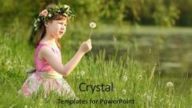  Presentation with pink green - Colorful presentation enhanced with little pretty girl in pink sits and looks at dandelion on green grass in summer park focus on hand and dandelion backdrop and a gold colored foreground