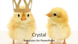  Presentation with king crown - PPT theme with little prince - two chicks one enrichment become background and a blonde colored foreground