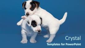  Presentation with cute christmas pug puppy dog - Presentation design enhanced with little-puppy-on-blue-background background and a ocean colored foreground