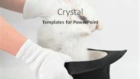  Presentation with magic - Presentation theme featuring little-rabbit-at-magic-hat background and a  colored foreground