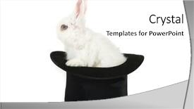  Presentation with is waving her magic wand - Slides enhanced with little rabbit at magic hat background and a white colored foreground