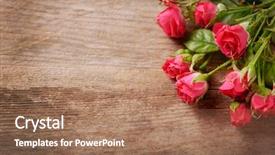  Presentation with pink and white roses country - Slide set with little roses on wooden background background and a  colored foreground