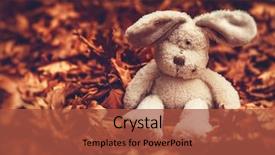  Presentation with old photo - Presentation enhanced with little sad plush rabbit background and a red colored foreground